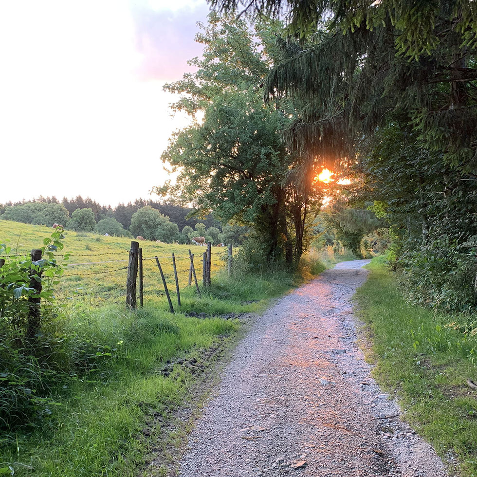 Ausflüge rund um den Starnberger See